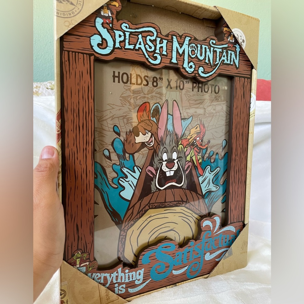 Splash Mountain Picture Frame